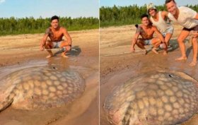 Santa Fe: Pescaban en el río Paraná y sacaron una raya de 90 kilos
