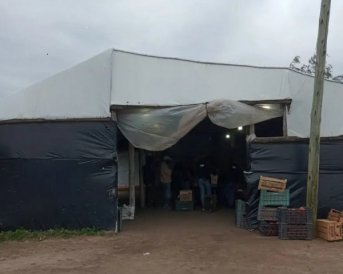 Corrientes: rescataron a 10 trabajadores víctimas de explotación en fincas hortícolas