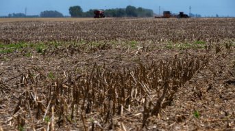 La AFIP oficializa beneficios impositivos para productores afectados por la sequía