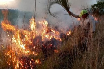 Se quemaron 4 mil hectáreas en Iberá y hay estado de emergencia por la sequía