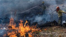 Situación Ígnea: la provincia registró 17 focos de incendio