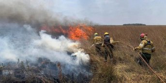 Iberá: afirman que la situación empeora y el fuego se podría extender hasta abril
