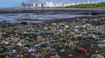 El volumen de residuos podría aumentar más del 60% para el 2050