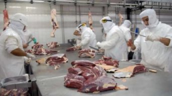 La producción de carne bovina se redujo un 8% en el primer trimestre